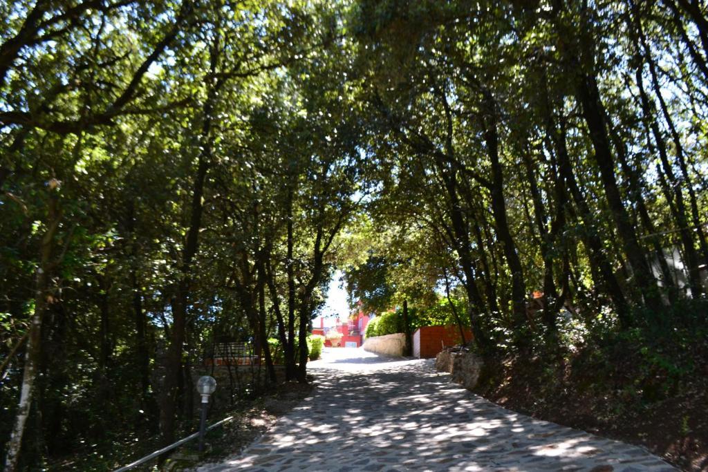 B&B Spring Perugia Kültér fotó