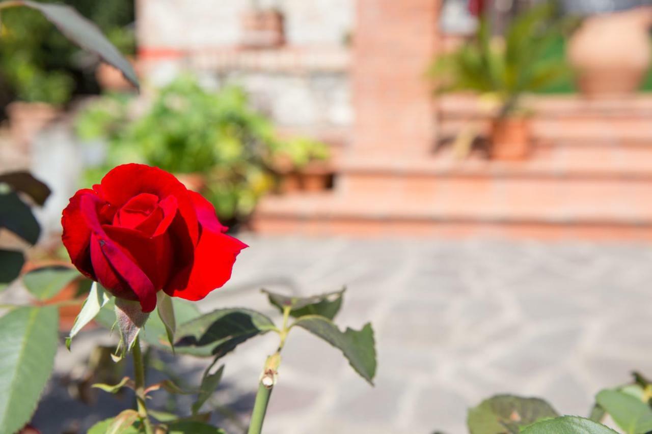 B&B Spring Perugia Kültér fotó
